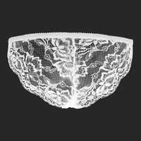 Custom Women Lace Panty Sexy Transparent Panties with Name